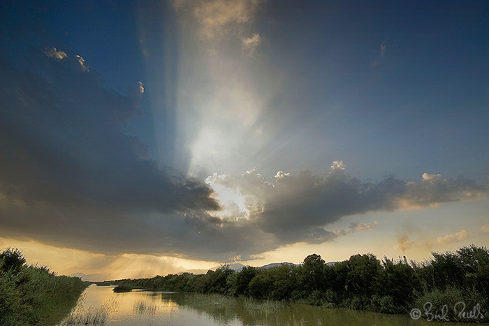 25 anys del Parc Natural de s'Albufera
