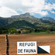 Can Pontico, de camp de tir a refugi de fauna