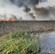 El foc a s'Albufera