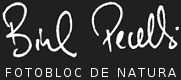 Biel Perell - FotoBloc de Natura